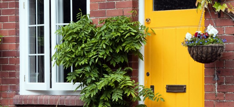 Yellow cottage front door surround by green ivy and hanging baskets